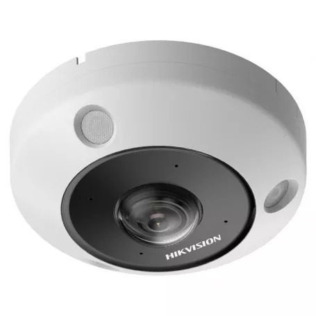 Caméra Fisheye Hikvision DS-2CD6365G1-IVS