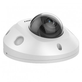 Hikvision DS-2CD2543G2-IWS