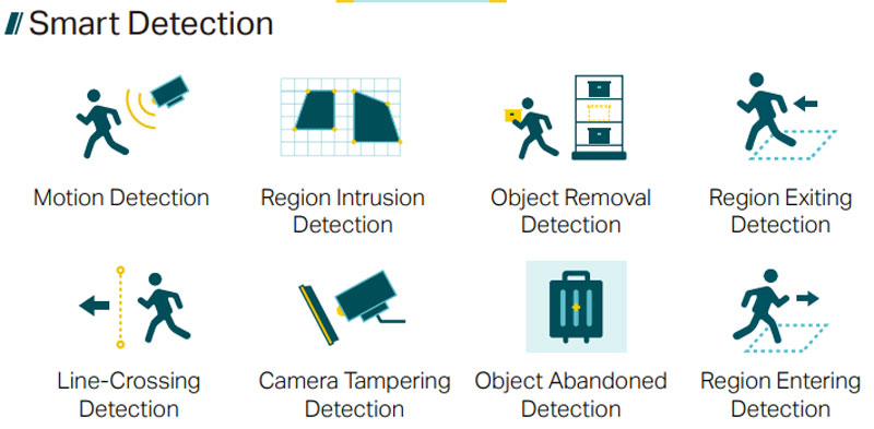 VIGI C540S Smart detection